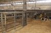 Agrargenossenschaft-Milchquelle-Stuedenitz-eG-130809-DSC_0078.JPG