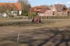 Niedersachsen-Pferde-130407-DSC_0147.JPG
