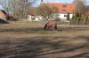 Niedersachsen-Pferde-130407-DSC_0150.JPG