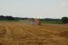 Getreideernte-Niedersachsen-Wittenberg-Seevetal-130823-DSC_0002.JPG