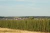 Hopfenanbau-Bayern-2015-150731-DSC_0921.JPG