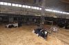 Agrargenossenschaft-Milchquelle-Stuedenitz-eG-130809-DSC_0083.JPG