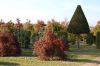 Baumschule-Niedersachsen-Seevetal-131003-DSC_0031.JPG
