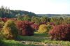 Baumschule-Niedersachsen-Seevetal-131003-DSC_0110.JPG