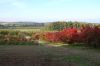 Baumschule-Niedersachsen-Seevetal-131003-DSC_0130.JPG