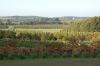Baumschule-Niedersachsen-Seevetal-131003-DSC_0136.JPG