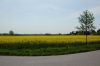 Niedersachsen-Rapsbluete-120501-DSC_0169.JPG