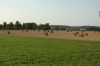 Niedersachsen-Strohernte-120816-DSC_0298.JPG