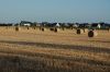 Niedersachsen-Strohernte-120816-DSC_0328.JPG