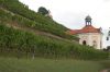 Sachsen-Weingut-Schloss-Wackerbarth-DSC_0414.JPG