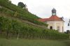 Sachsen-Weingut-Schloss-Wackerbarth-DSC_0415.JPG