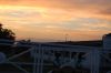 Sachsen-Wermsdorf-Gaensezucht-Eskildsen-120910-DSC_0291.JPG