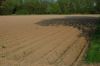 Niedersachsen-Kartoffelanbau-140426DSC_0245.JPGDSC_0242.JPG