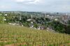 Weinanbau-Wiesbaden-Hessen-2016-160515-DSC_0037.jpg