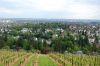 Weinanbau-Wiesbaden-Hessen-2016-160515-DSC_0039.jpg