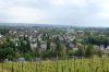 Weinanbau-Wiesbaden-Hessen-2016-160515-DSC_0041.jpg