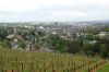 Weinanbau-Wiesbaden-Hessen-2016-160515-DSC_0058.jpg