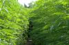Hanf-Labyrinth-Hanstedt-160710-DSC_8225.jpg