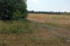 Duerreschaden-Mais-Brandenburg-2018-180818-DSC_7803.jpg